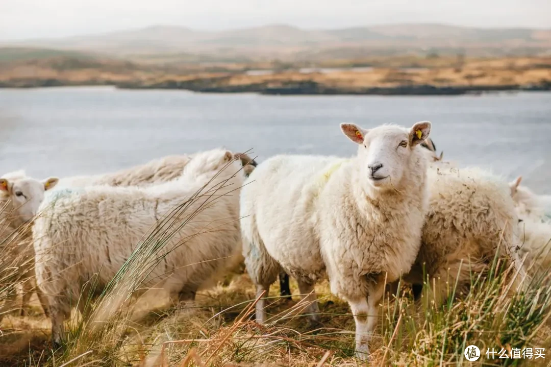 寒冬将至,双十一买衣服选哪种材质最保暖?看完直接抄作业!