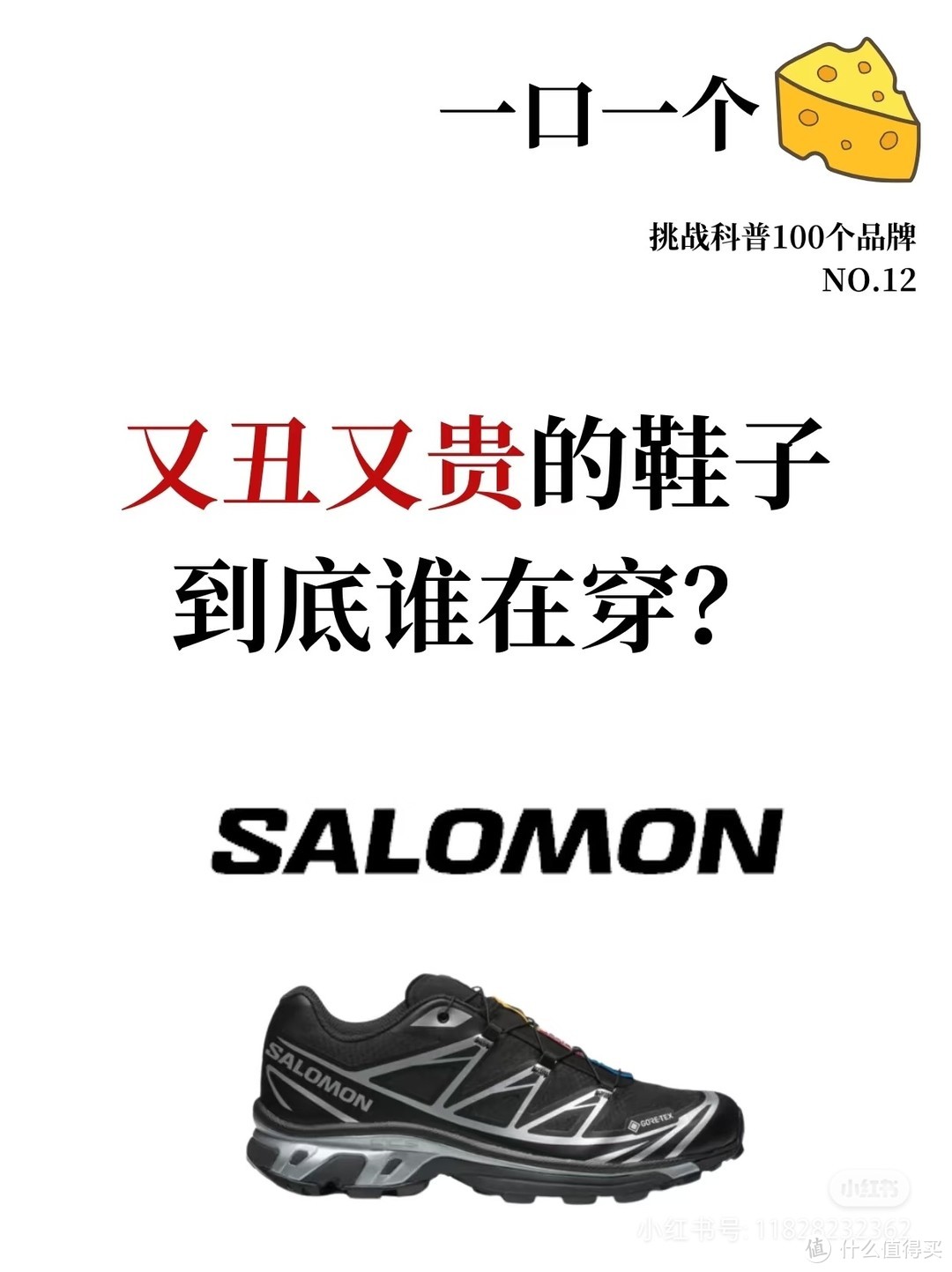 为什么萨洛蒙已经和始祖鸟比肩了？